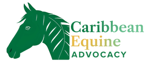 0e521b51-45c8-40d6-95e4-b57376286f9d