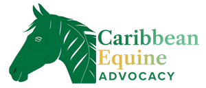 Caribbean Equine - 1 - Edited