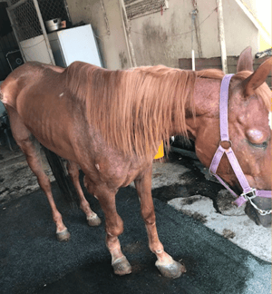 Screenshot 2026-04-18 at 1.27.51 PM