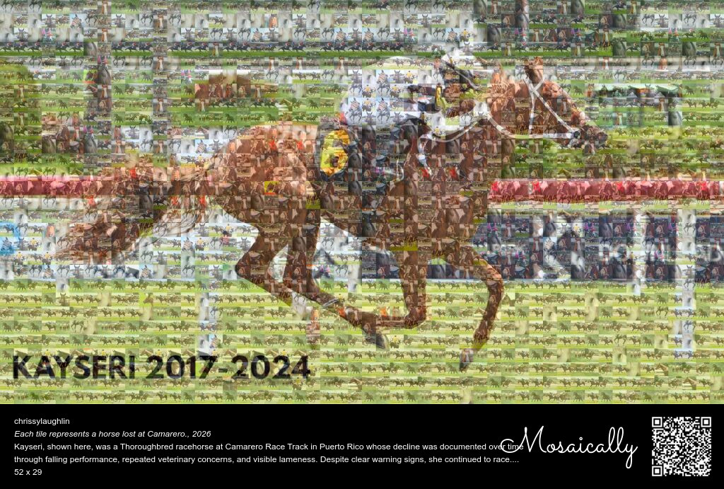 1,513 Lives: A Mosaic of Horses Lost at Camarero